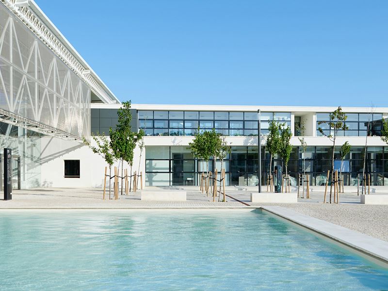 Organized by Portugal’s leading and top-ranked business school