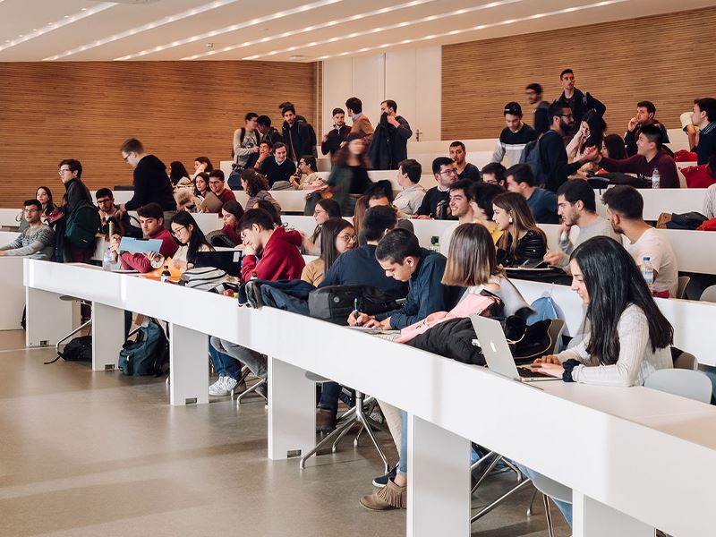 Scholarships & Funding