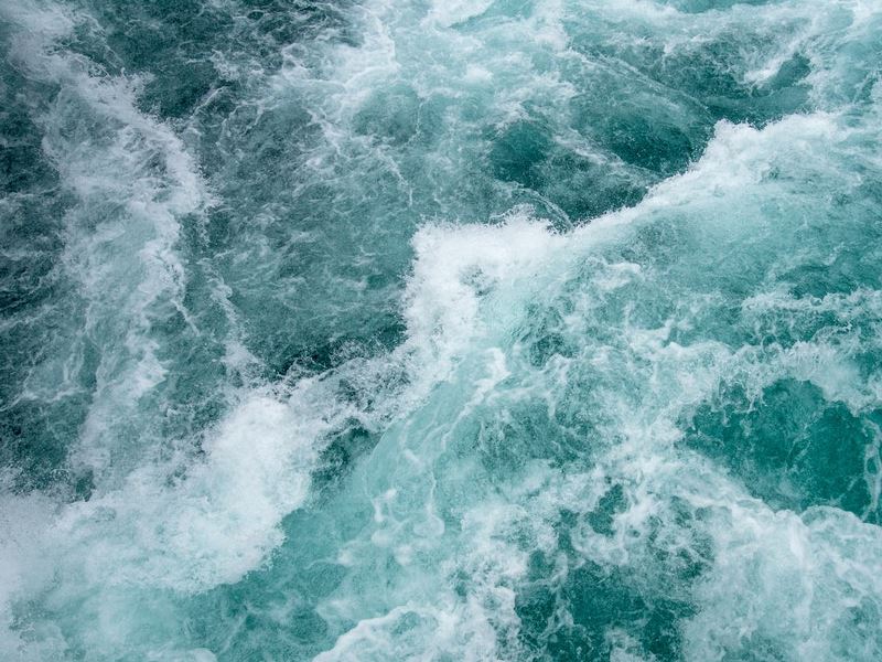 Sharing knowledge with the world